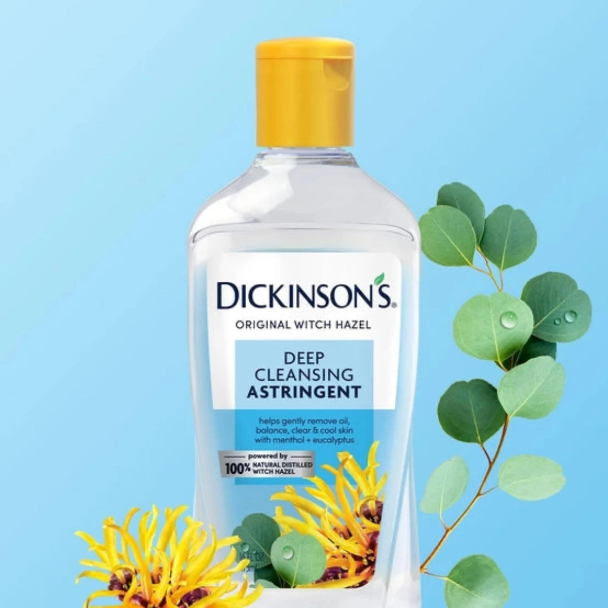 Dickinsons Deep Cleansing Astringent 16oz