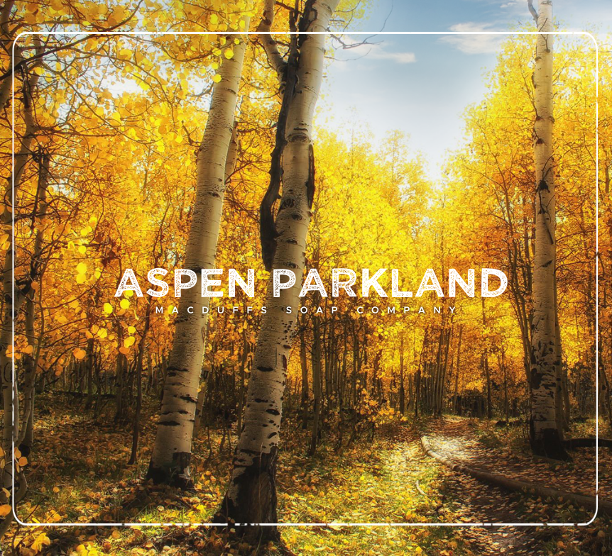 MacDuffs Soap Co. - Aspen Parklands - Aftershave Splash - Unscented