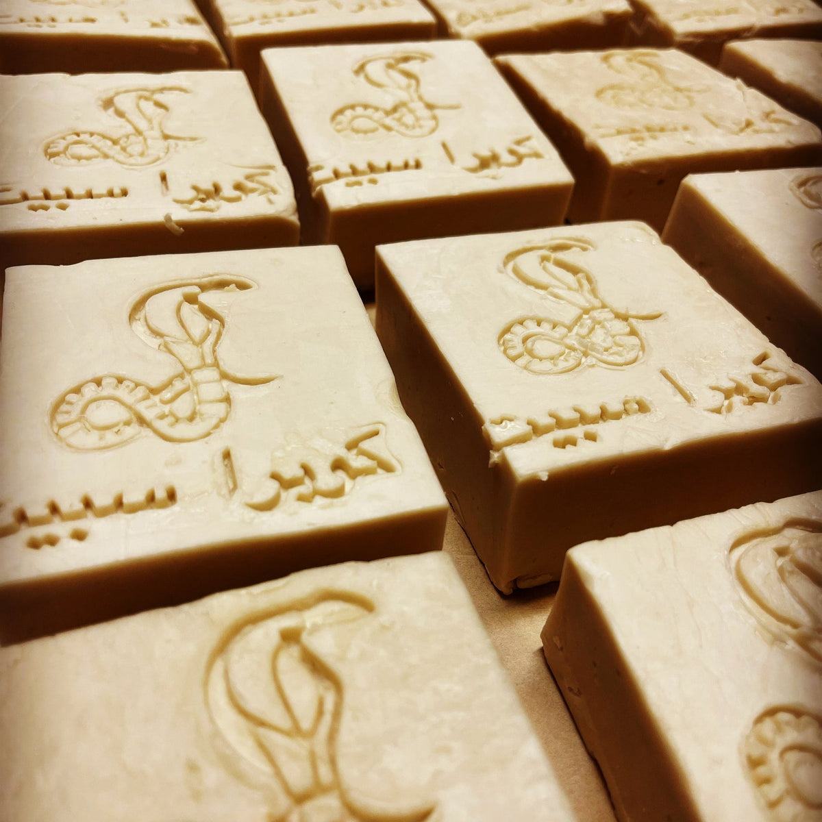 Cobra Spit Balm | Skin Care Products – Tagged "Cobra Spit Balm" – The ...