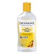 Dickinsons Pore Perfecting Toner 16oz
