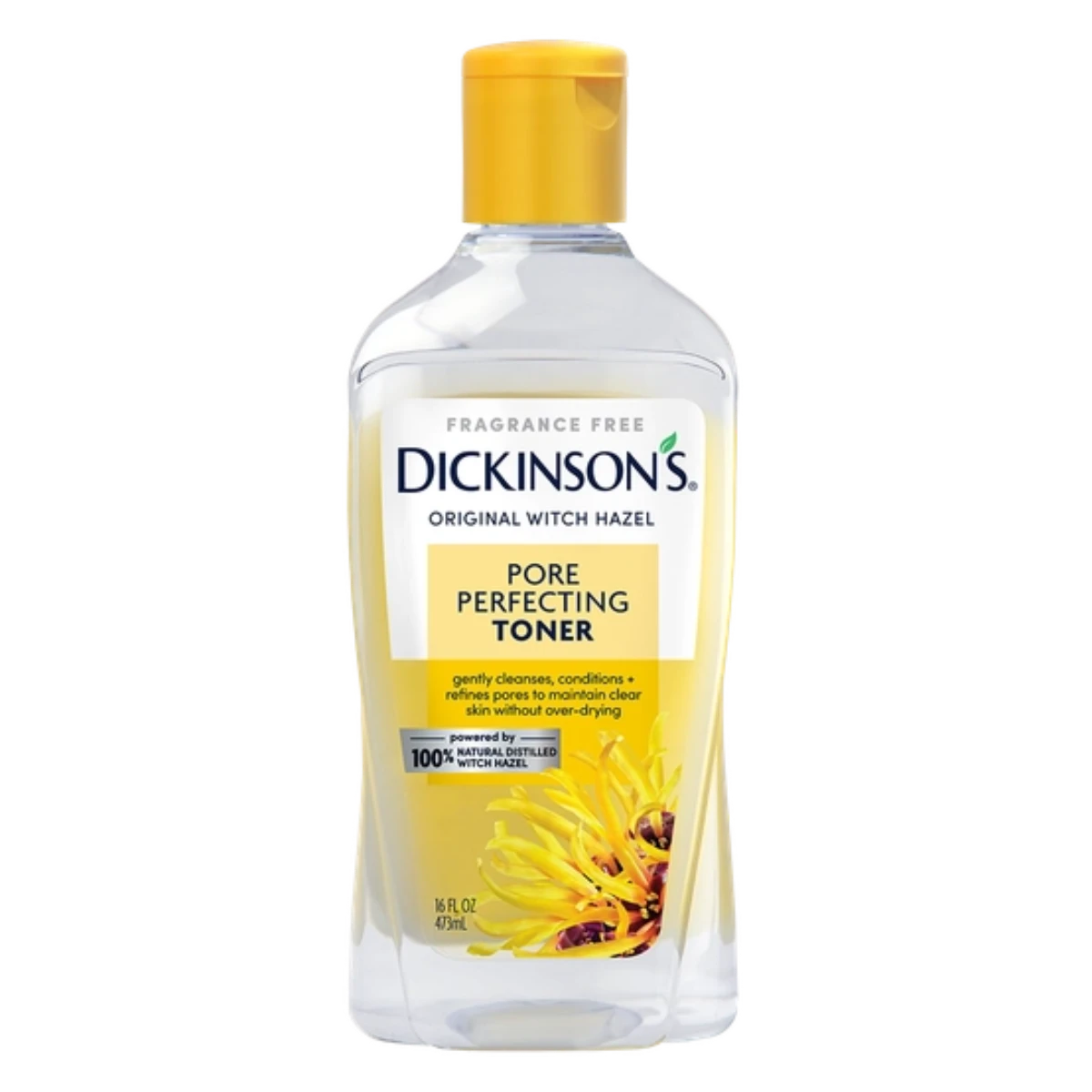 Dickinsons Pore Perfecting Toner 16oz

