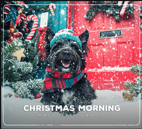MacDuffs Soap Co. Christmas Morning Aftershave Splash 4oz