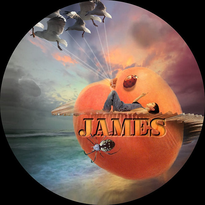 First Line Shave James Imperial Wagyu Shave Soap 4oz