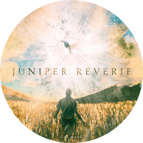 Gentleman's Nod - Juniper Reverie- Shave Soap