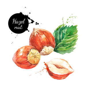 Pinnacle Grooming - Aftershave Splash - Hazelnut